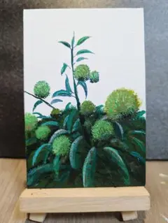 若い栗の実　アクリル画 小型
