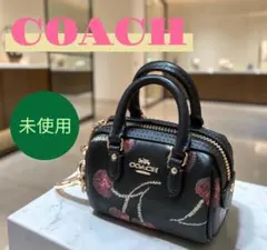 【新品】COACH コーチ チャーム キーホルダー さくらんぼ　ミニ　ポーチのサムネイル