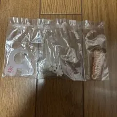 TWICE DAVELY 壓克力鑰匙圈絨毛吊飾