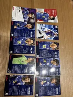 日本代表選手トレーディングカード10枚セット
