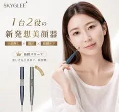 フェイスポインター❣️ポスポス 全身ケア ペン型 美顔器 バネ式 ツボ 