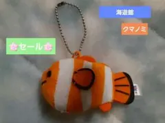 海遊館　クマノミ　キーチェーン　未使用