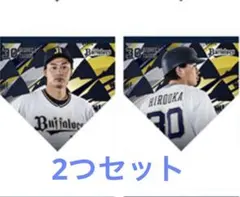 伏見寅威 北海道日本ハムファイターズ タペストリー 阪神タイガース 