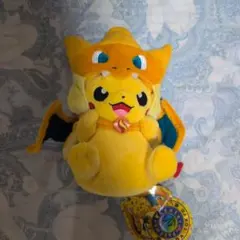 ポケモンセンター マンスリーピカチュウ ポケモン ぬいぐるみ 6月