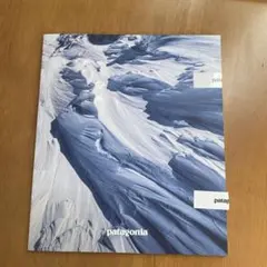 2025年最新】パタゴニア カタログの人気アイテム - メルカリ