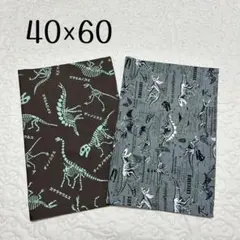 ランチョンマット 40×60 2枚セット　恐竜柄　化石　男の子用　男児　給食用