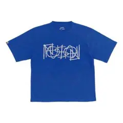 【美品】VAUNDY Tシャツ Lサイズ ブル FUSION
