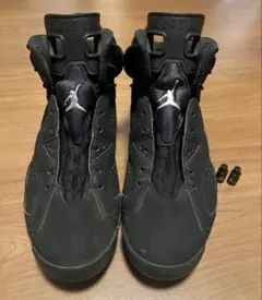 NIKE AIR JORDAN6 Retro Metallic Silver