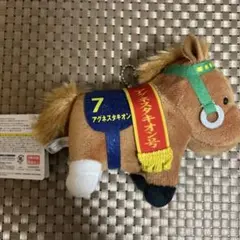 サラブレッドコレクション　アグネスタキオン