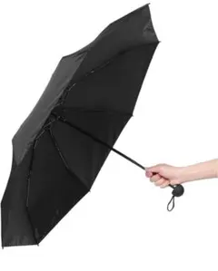 Item thumbnail for item 1edc96a4-501d-4e04-91a0-9d0d4262bb4e