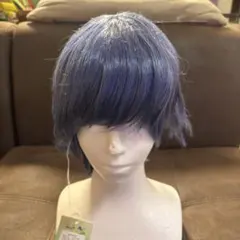 ウィッグ ネイビー A25