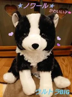 2025年最新】くったりボーダーコリーおりこうさんの人気アイテム