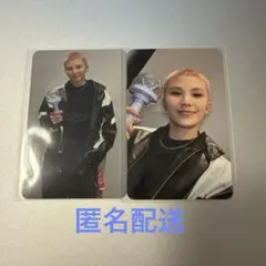 ウジ SEVENTEEN カラットゾーン