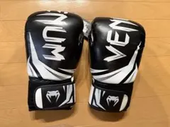 Item thumbnail for item fa4deec9-ffb6-43ff-a46a-d9b3a28e754a