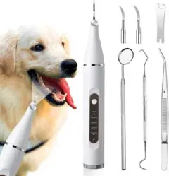 Item thumbnail for item 9e00169e-429a-4900-b5c1-65c3fbceb9fd