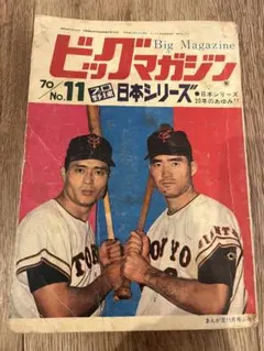 Item thumbnail for item af92f863-67f0-4ca8-9afa-6d1c0147146e