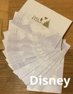 Disney ディズニー　チケット　カード入れ　10枚組