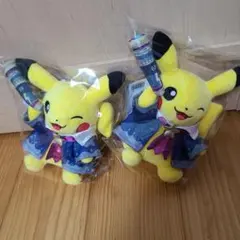 ポケモンセンター ポケモン天文台 ピカチュウ ぬいぐるみ 2体セット