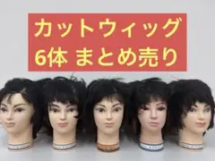 【送料無料】カット ウィッグ 6体 ※エコメルカリ便を選択していただける方のみ