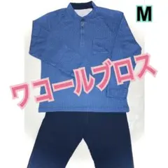 Item thumbnail for item 11a062be-251d-4d62-88e4-2d39e4dd9f24