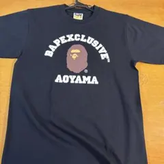 Item thumbnail for item 703412cf-6d17-42b6-ae9d-32c989b1cc0d