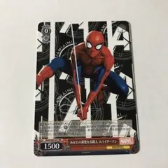 あなたの親愛なる隣人 スパイダーマン RR