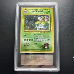 【ARS10】旧裏　エリカのフシギバナ　No.003