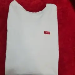 Item thumbnail for item 9ffced38-f485-41dd-b84b-a0bf7db28810