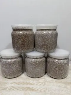 츠키요노 머쉬룸 가든 EP-1400, 5병, 5월 입고, 신품, 배송비 포함, 즉시 배송 균사체 병