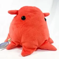 メンダコ ぬいぐるみのサムネイル