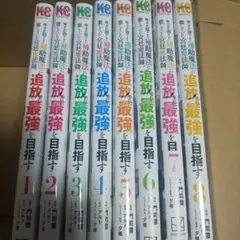 味方が弱すぎて補助魔法に徹していた宮廷魔法師、追放されて最強を目指す 1-8巻