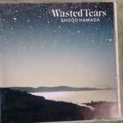 浜田省吾 Wasted Tears LP盤　帯付き　ポストカード無し Amazon.co.jp: WASTED TEARS - 浜田省吾: ミュージック
