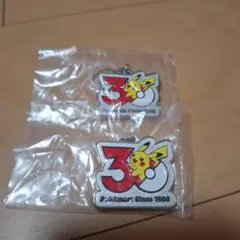 ポケモン 30周年 メタルチャームマスコット ピカチュウ 2個セット