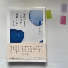 平熱のまま、この世界に熱狂したい 増補新版