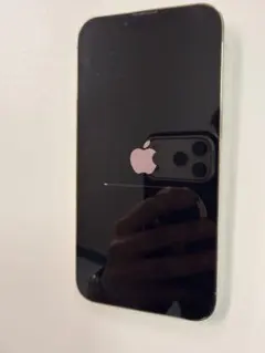 Apple iPhone 13 Pro 本体 256GB