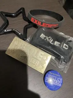 EXILE パーフェクトライブ 2008 2009 グッズセット