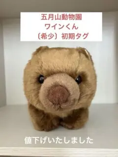 〔希少〕期間限定特別価格！五月山動物　ウォンバットワインくん　新品