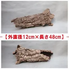 B163 ポルトガル産 キャノン型コルク コルク樹皮 コルク板 バージン