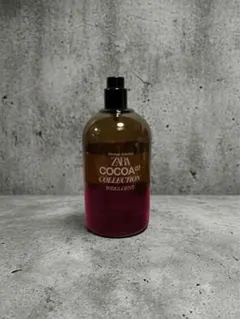 ZARA COCOA 02 collection INDULGENTのサムネイル