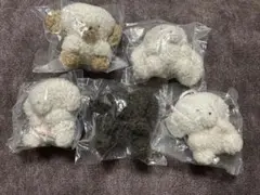 じょせまる ガチャ