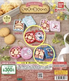 サンリオキャラクターズ　クッキー缶チャーム