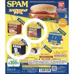 スパム SPAM ミニチュアチャーム 2個セット