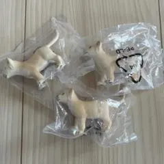 シュライヒ トラ　仔　3個セット　バラ売可