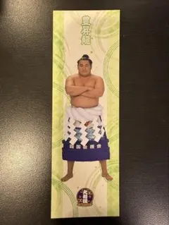 大相撲ルーレット　横綱大関しおり　豊昇龍