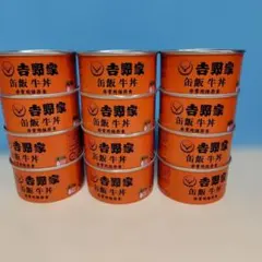 吉野家 牛カレー バタチキ 缶詰牛丼 レトルト セット 13個セット 地震 