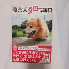 Item thumbnail for item 0a742ac0-a390-411e-8c02-c6357493cc39