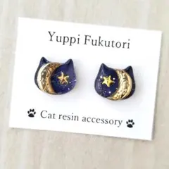 【yf.1383】夜空　猫　サージカルステンレスピアス　　星　月