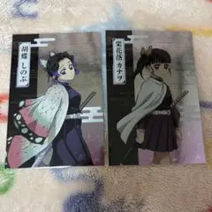 専用ページ