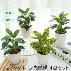 フェイクグリーン 光触媒 4点セット 抗菌 消臭のサムネイル