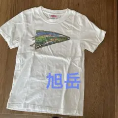 Item thumbnail for item d0a275db-4602-4d03-b94d-819a80851a93